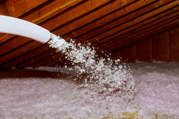 Insulation Replacement Services in Lakewood, IL